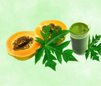 Papaya Leaves